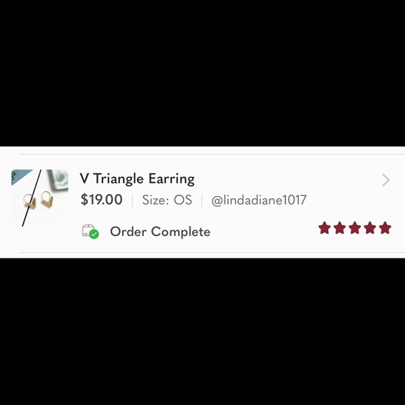 V Earrings - Picture 4 of 6